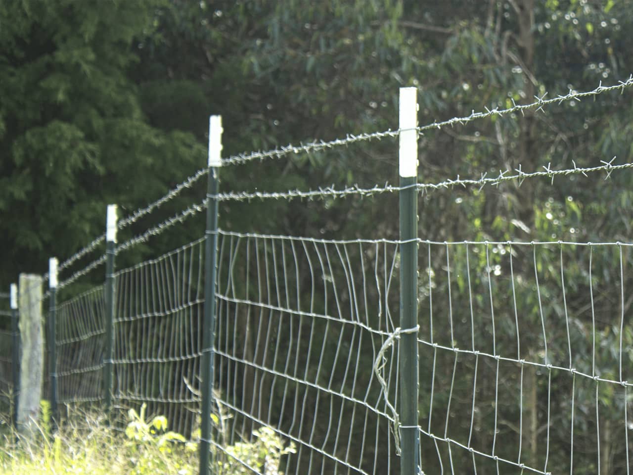 Poste de Acero Ceba 1.82m x 5 unds Agrofácil