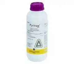 PIRINEX.jpg