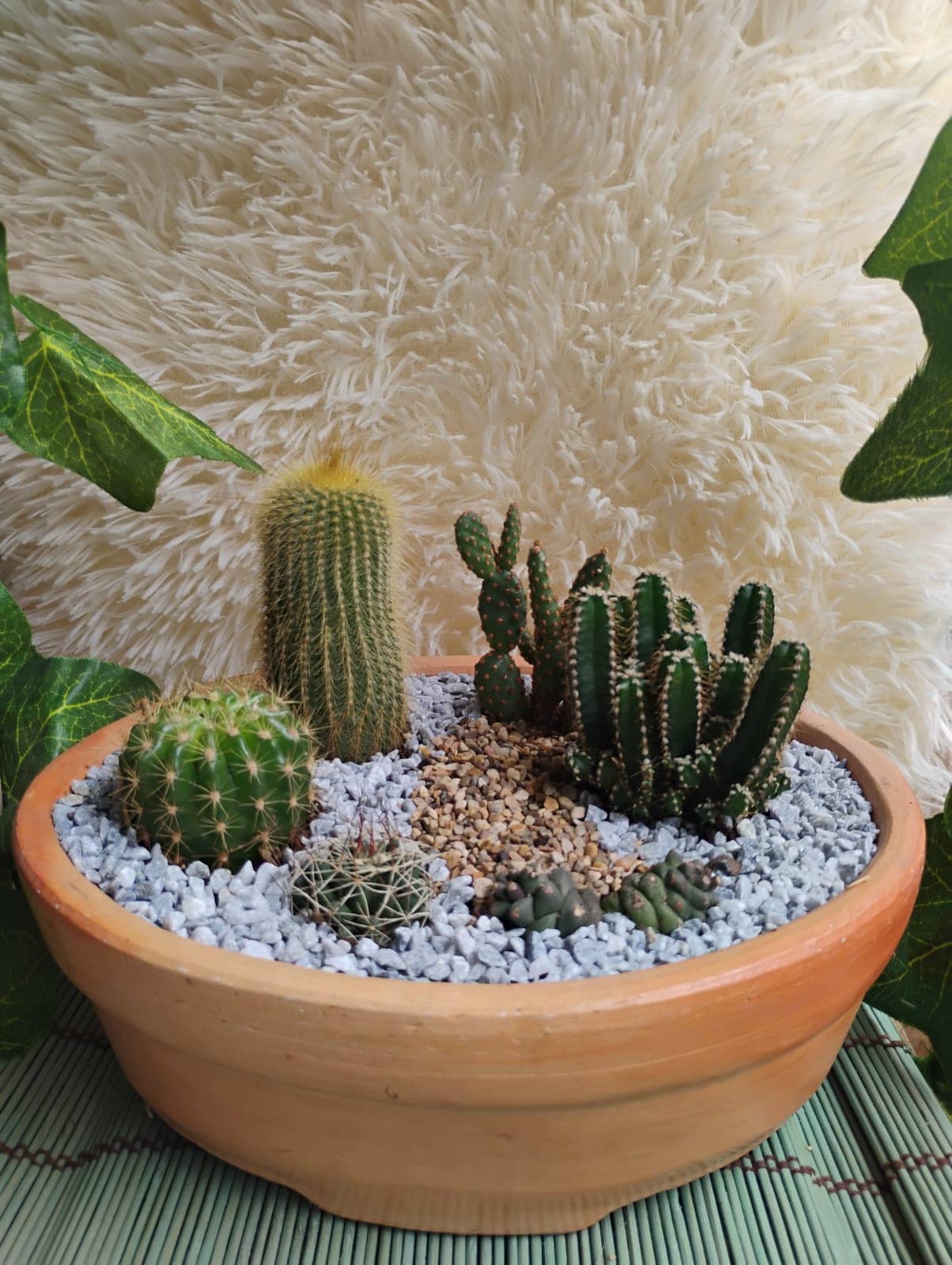 Matera de Barro Primavera | Ideal para Cactus y Suculentas
