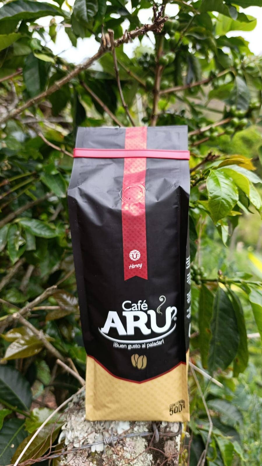 Café Honey | Colombia - Grano o Molido