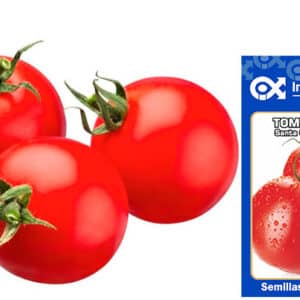 Semilla de Tomate Santa Clara