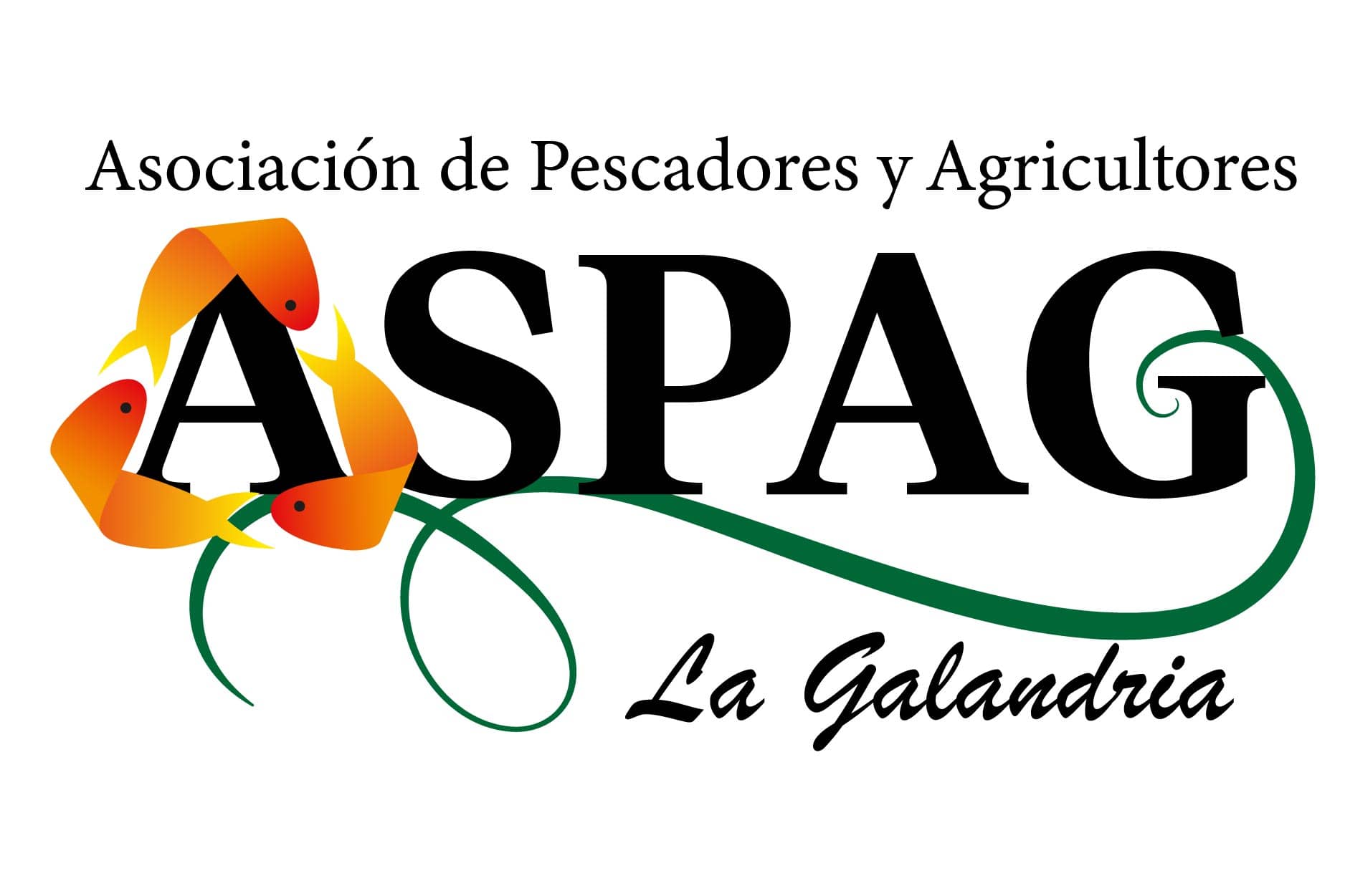 ASPAG CAUCASIA