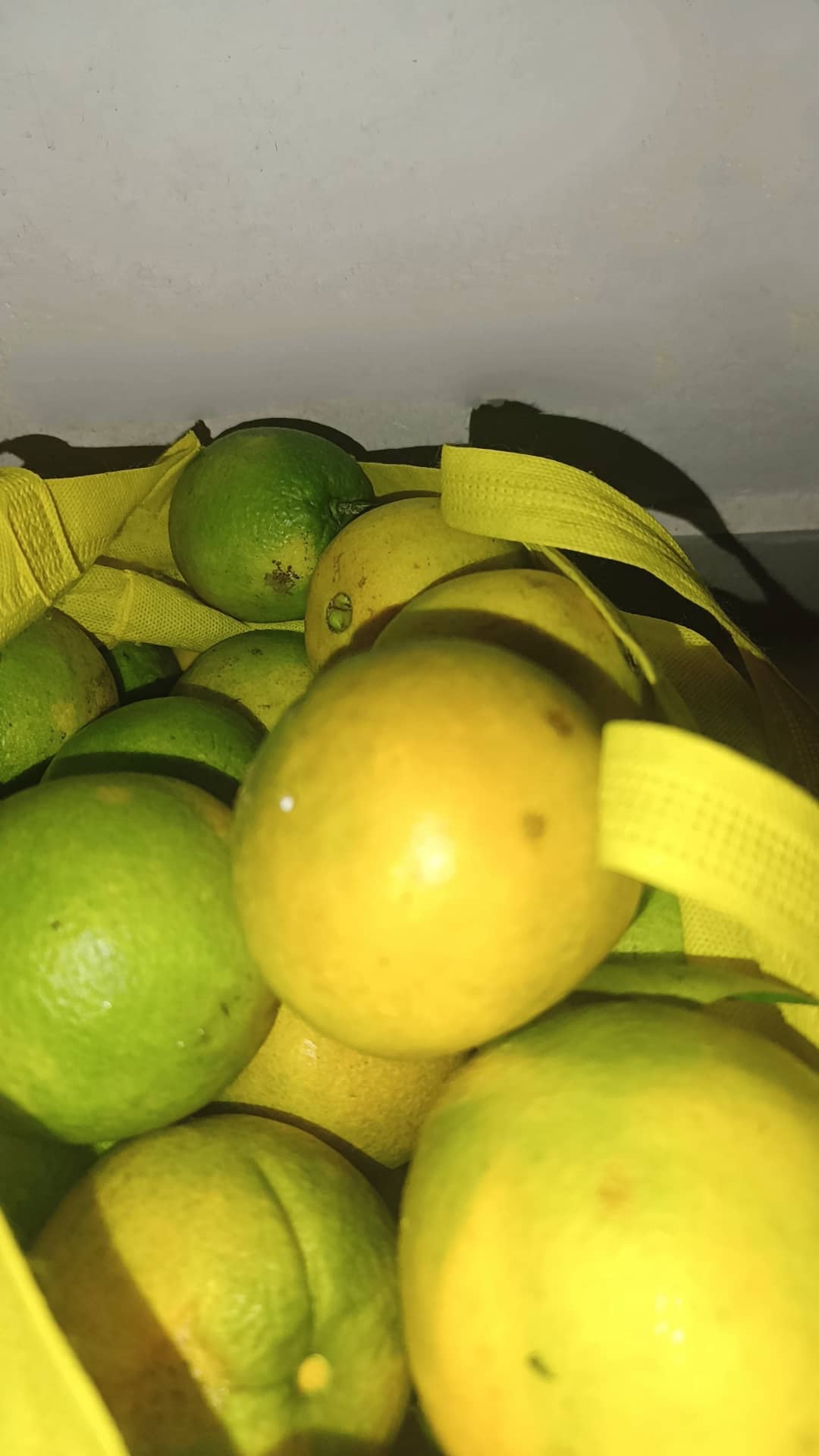 Naranja Navel Agroecológica