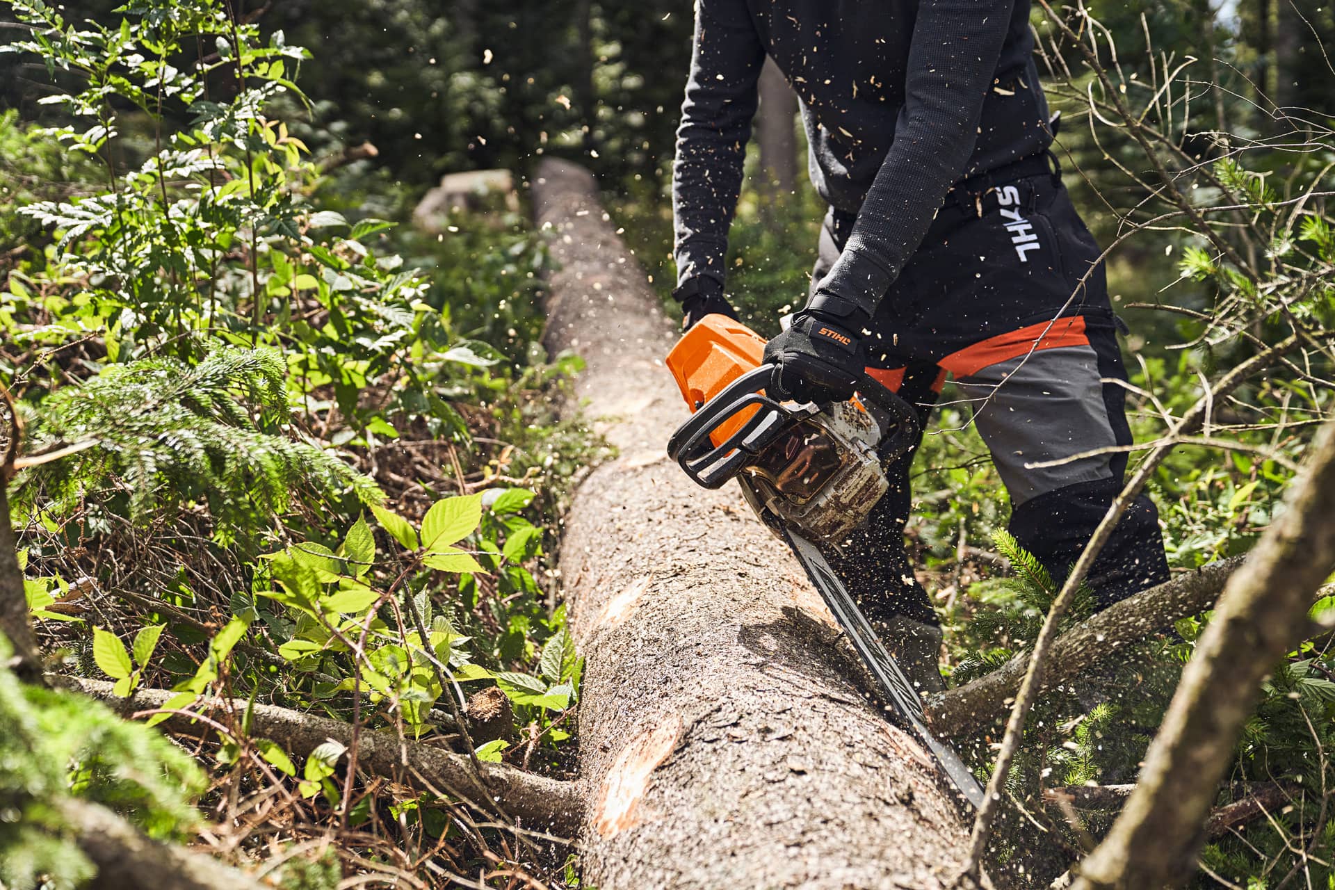 Motosierra de gasolina MS 363 STIHL