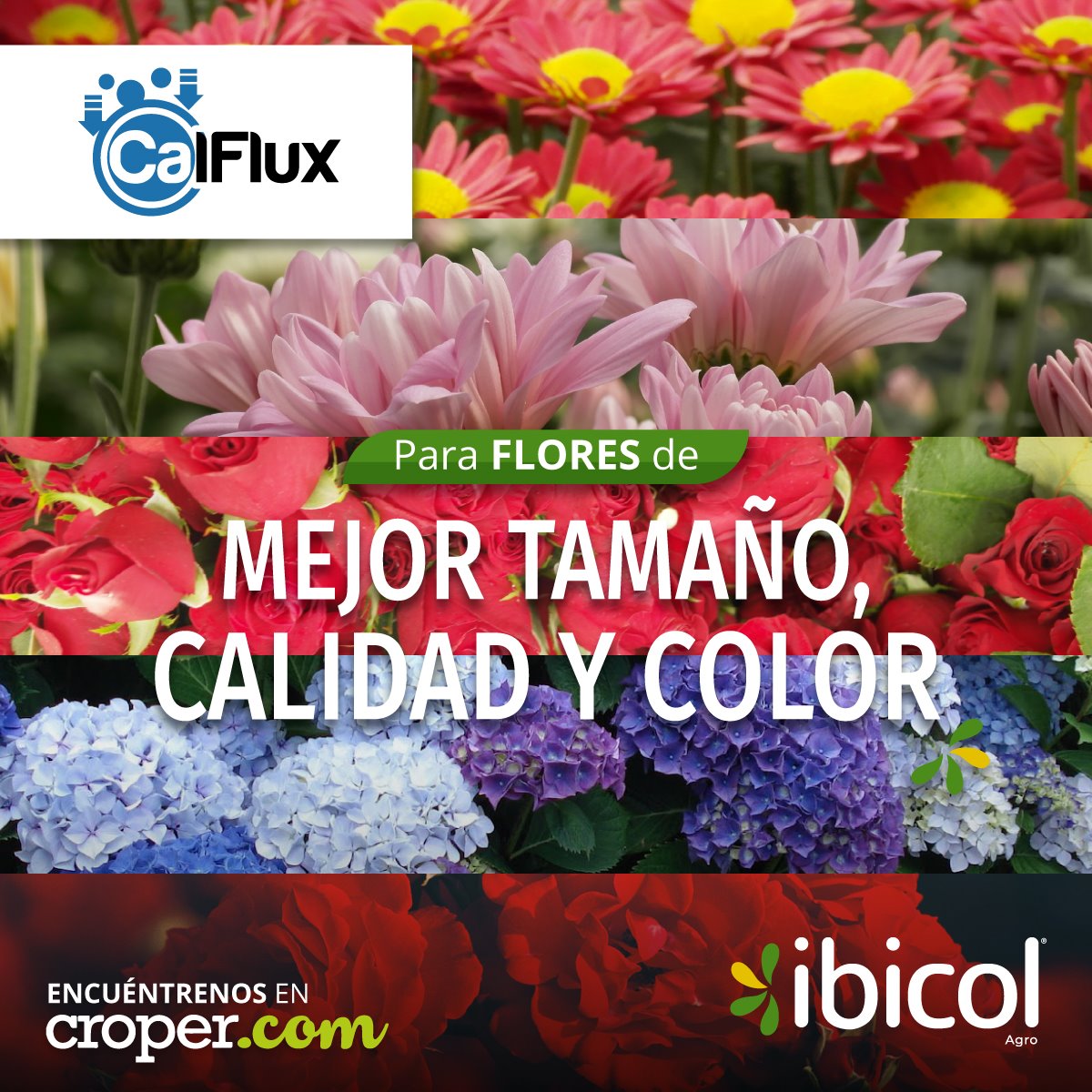 Fertilizante Para Engorde de Fruto Calflux x 250cc