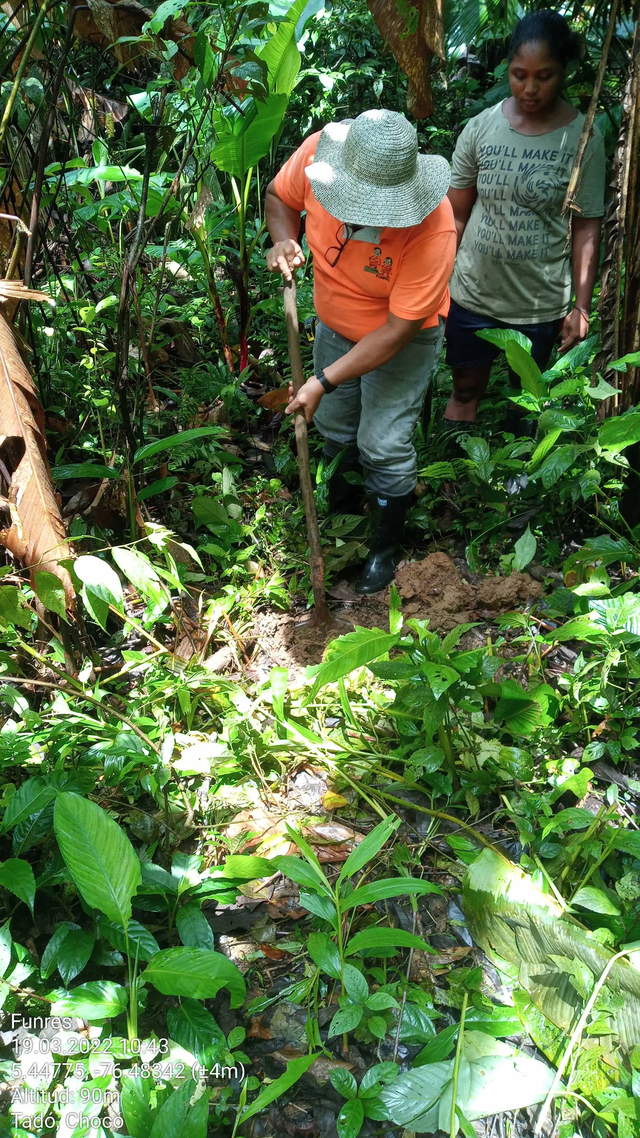 Funres_90m_5.44775, -76.48342_19032022_104358.jpg