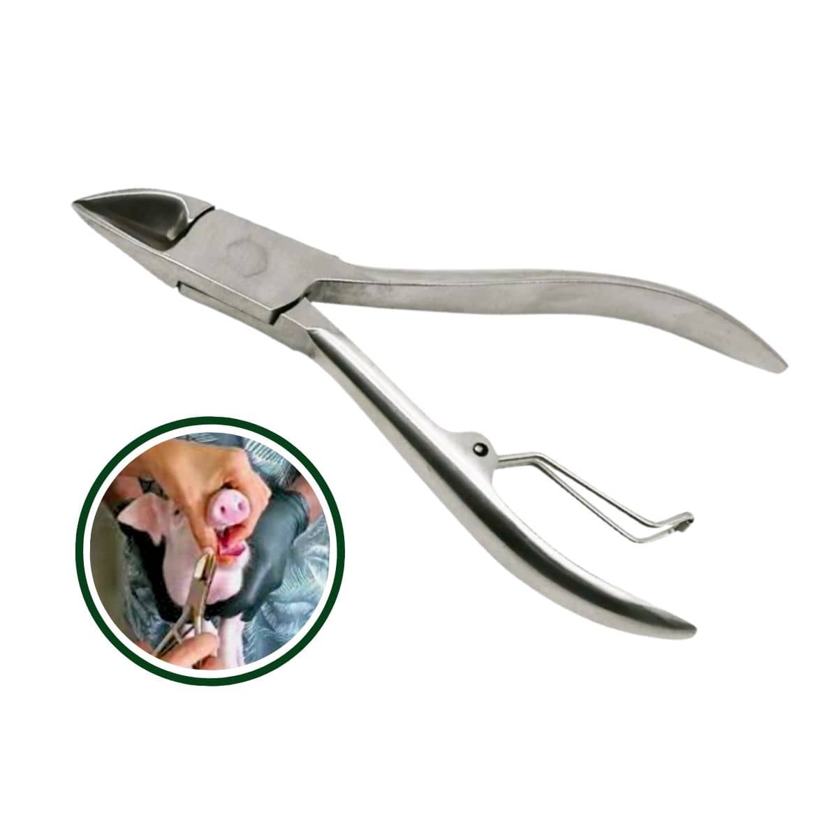 Alicate Corta Dientes Lechones | Acero Inoxidable