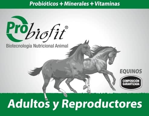 Probiofit Equinos - Adultos y Reproductores | Suplemento Nutricional para Caballos