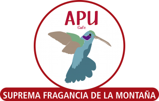 APU SAS