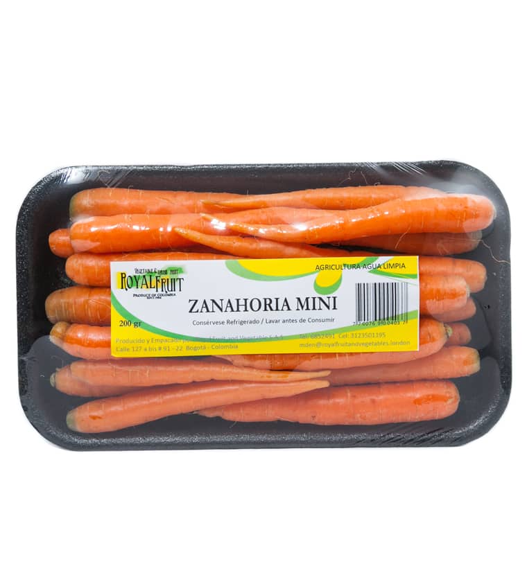 Zanahoria Baby - Royal.jpg