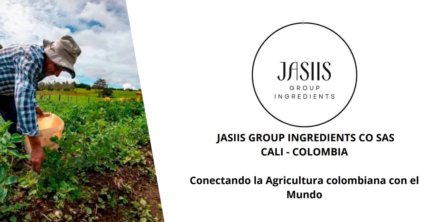 almidon de yuca agrio