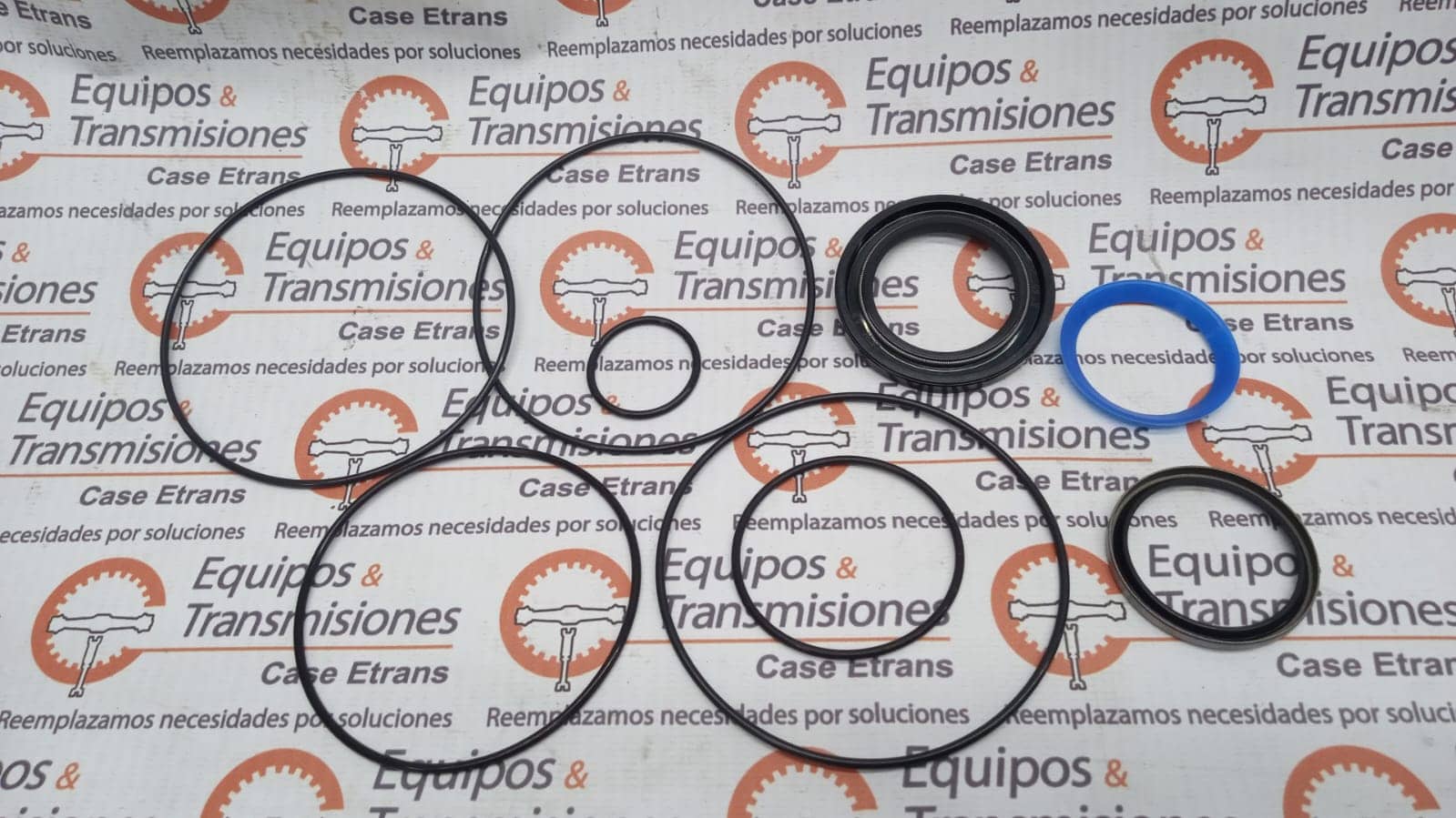 Empaquetadura - 151F0111