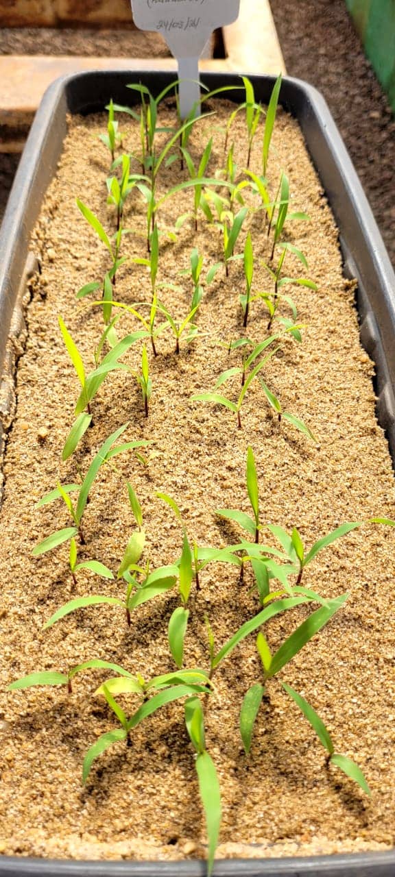 WhatsApp Image 2025-10-31 at 2.49.16 PM.jpeg