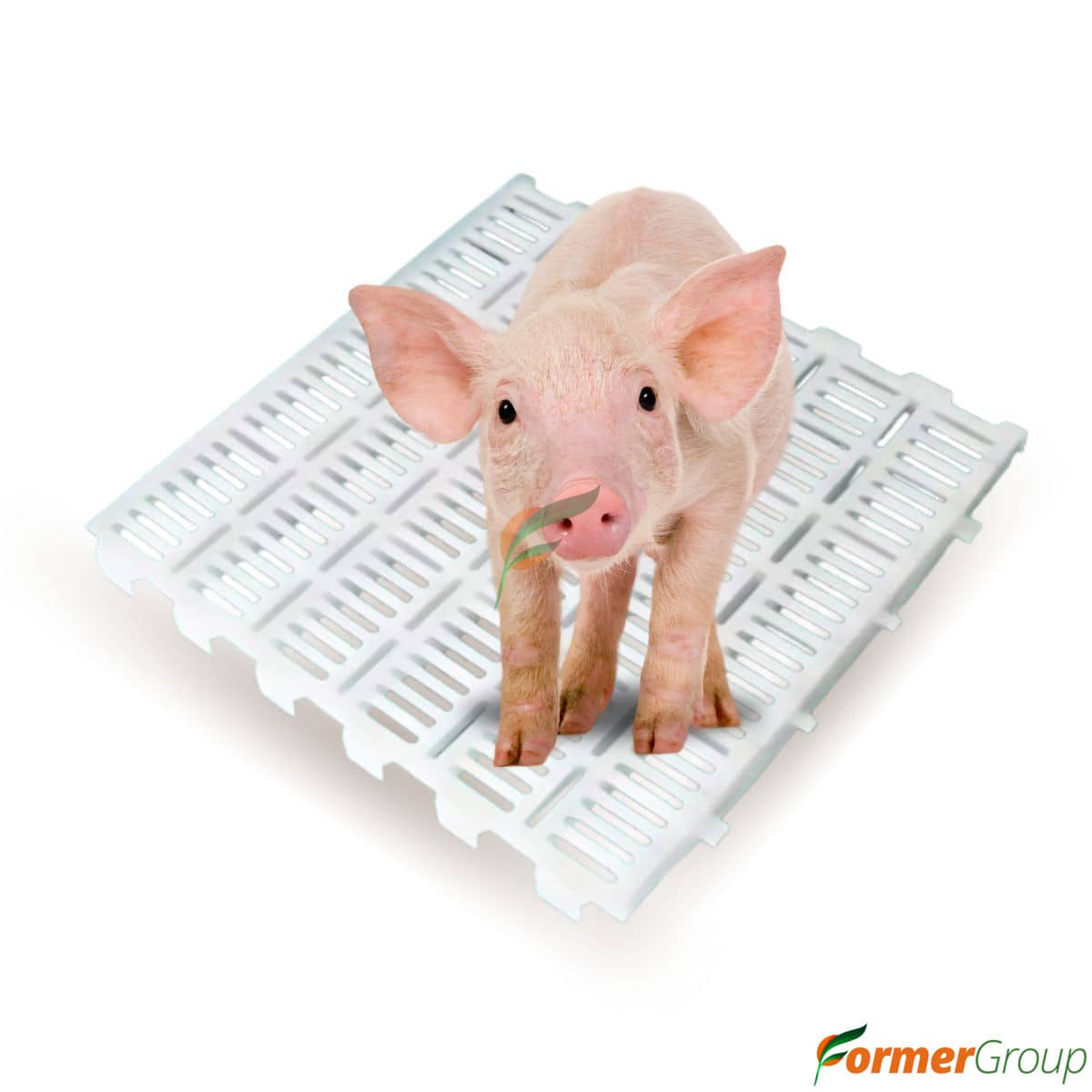 Estiba Plástica Para Lechones 60cm*50cm