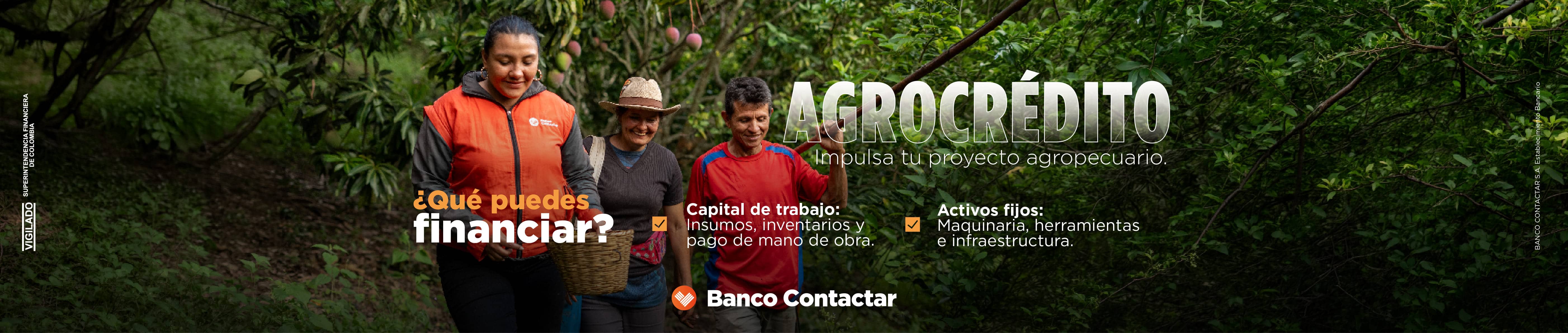 Contactar