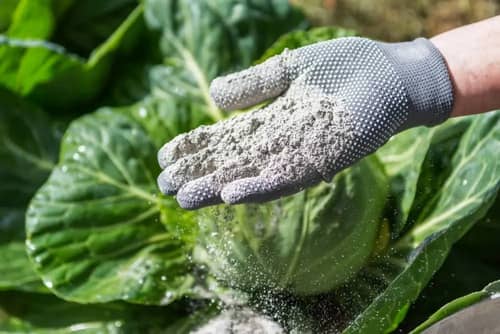 Cal Dolomita Agrícola Cinagro 50kg | Enmienda Suelo y Nutrición | Croper