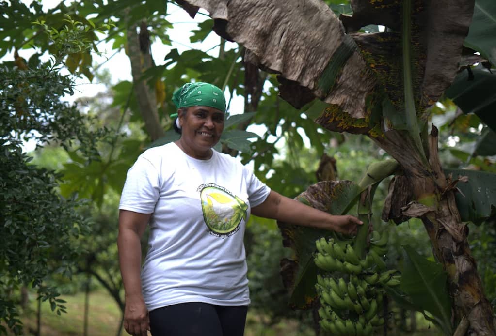 Avícola primavera usiacuri s.a.s