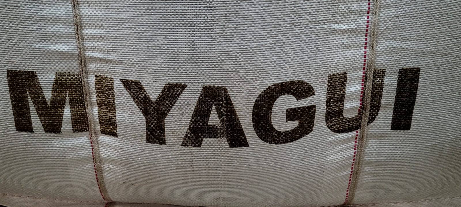 WhatsApp Image 2025-10-31 at 2.52.41 PM.jpeg