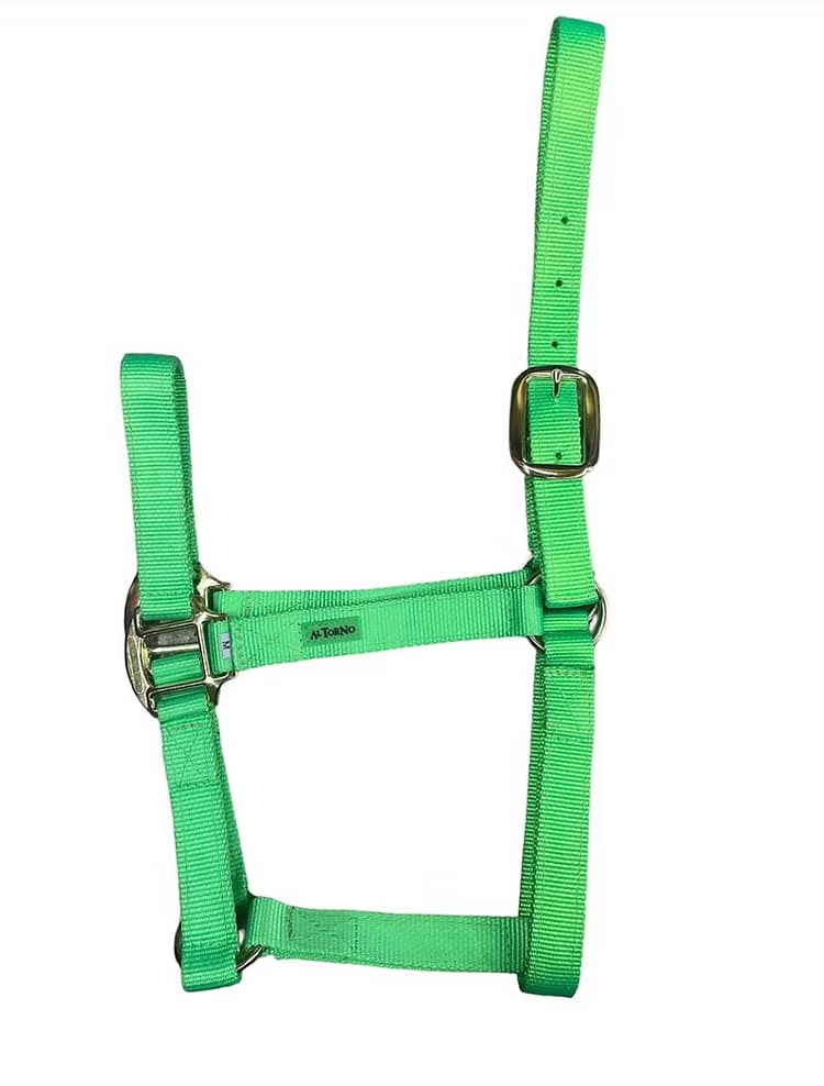 Jaquimón Reata para Potros de 6 a 15 Meses