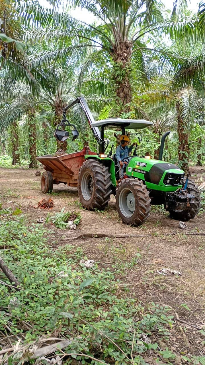 Grúa Grabber AC-80 para recolección de fruto de palma