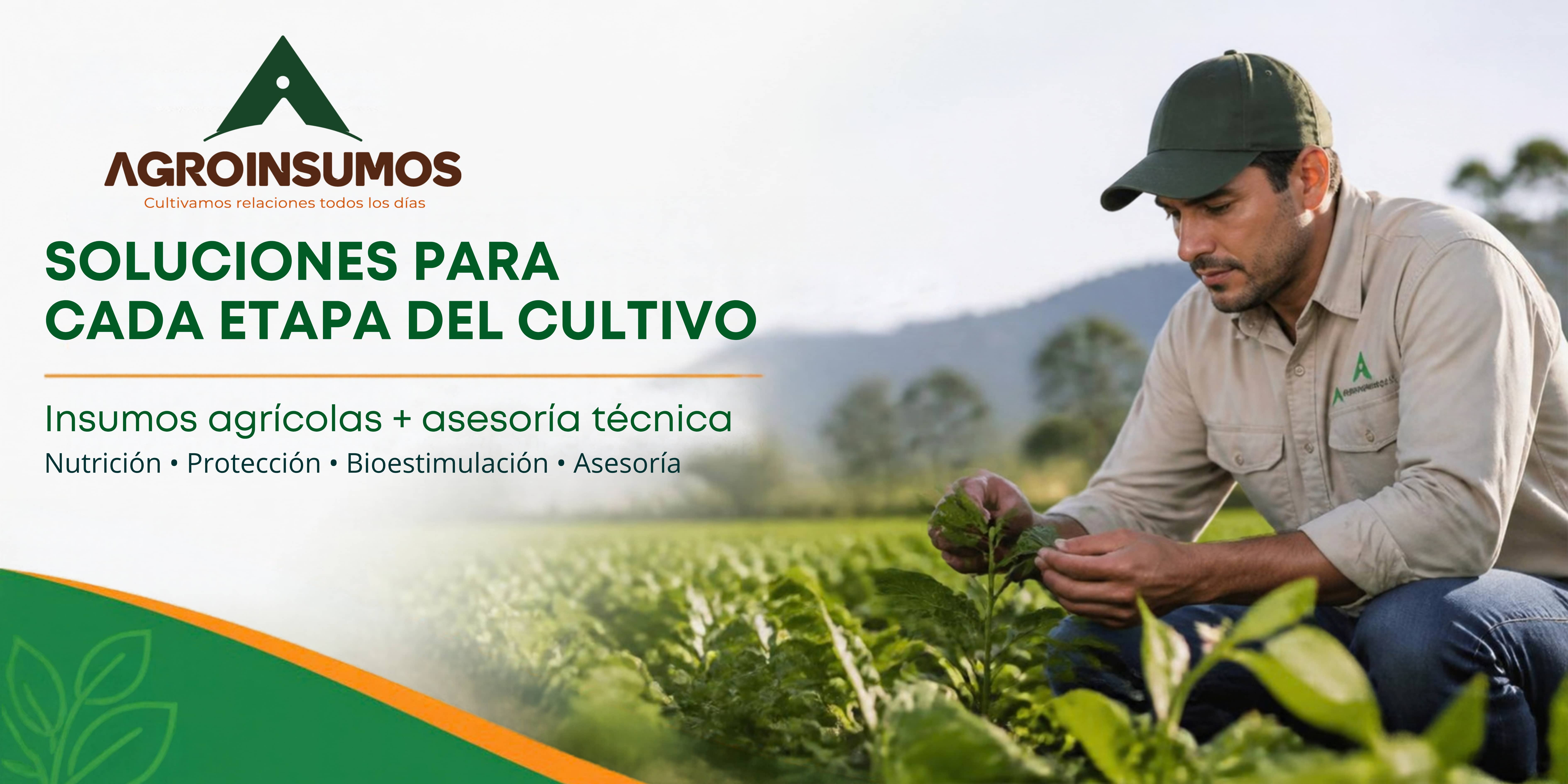 Agroinsumos SAS