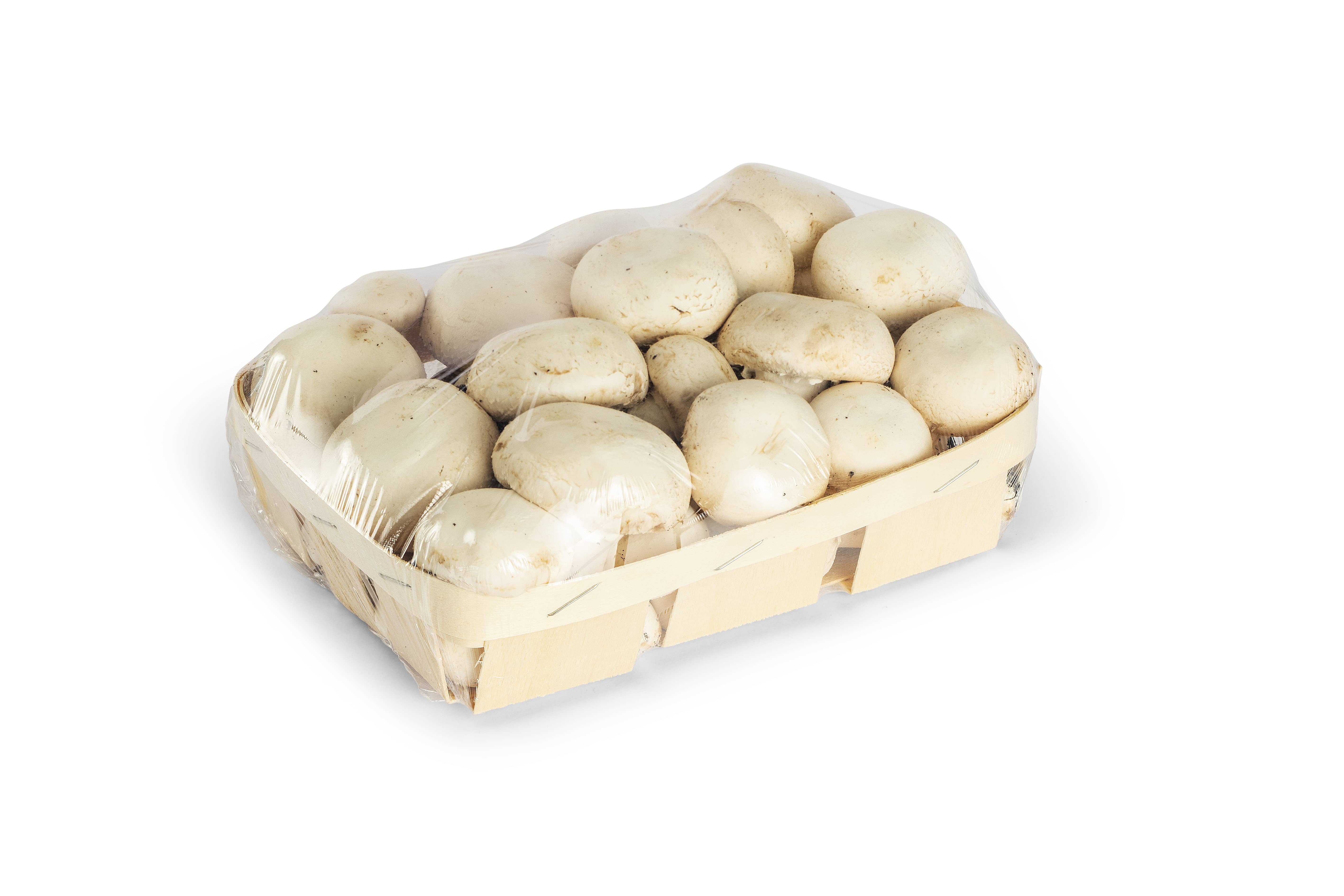 Elixa 24 empaquetadora stretch automática para alimentos frescos