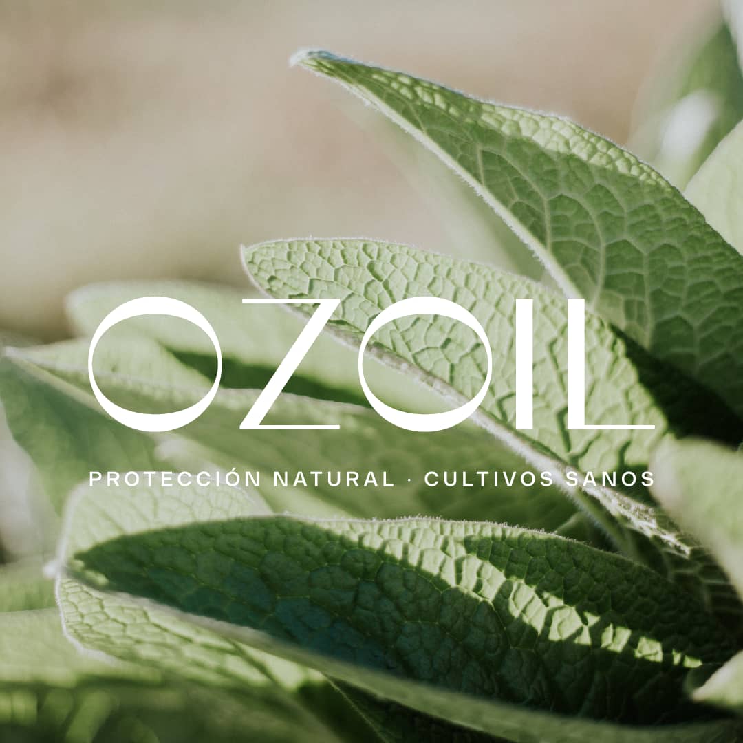 Logo_OZOIL_Artboard 20.png