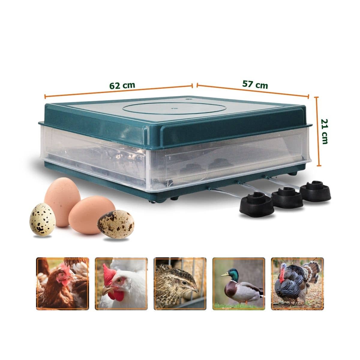 Incubadora 130 Huevos Volteo Automático 110V