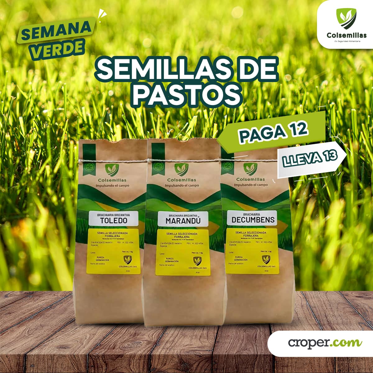 PROMOCIÓN Semillas de Pastos pague 12 Lleve 13