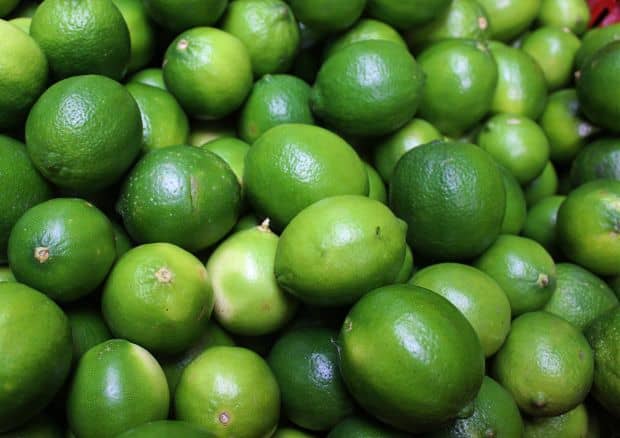 Cítricos Iracala Limón Tahití