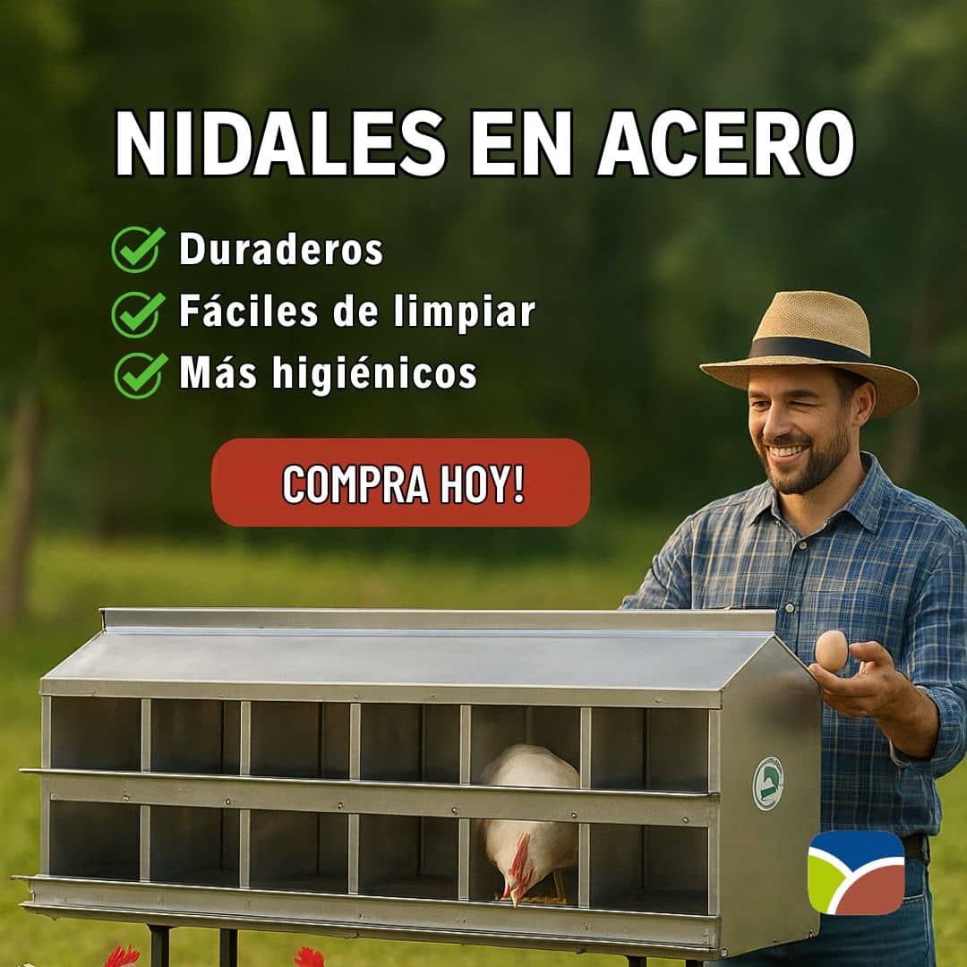 Nidales de Acero para Gallinas