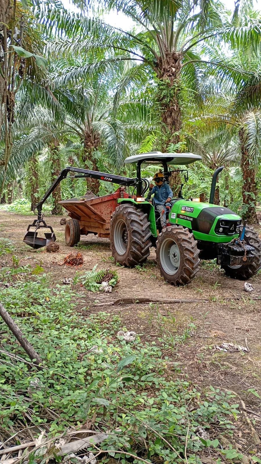 Grúa Grabber AC-80 para recolección de fruto de palma