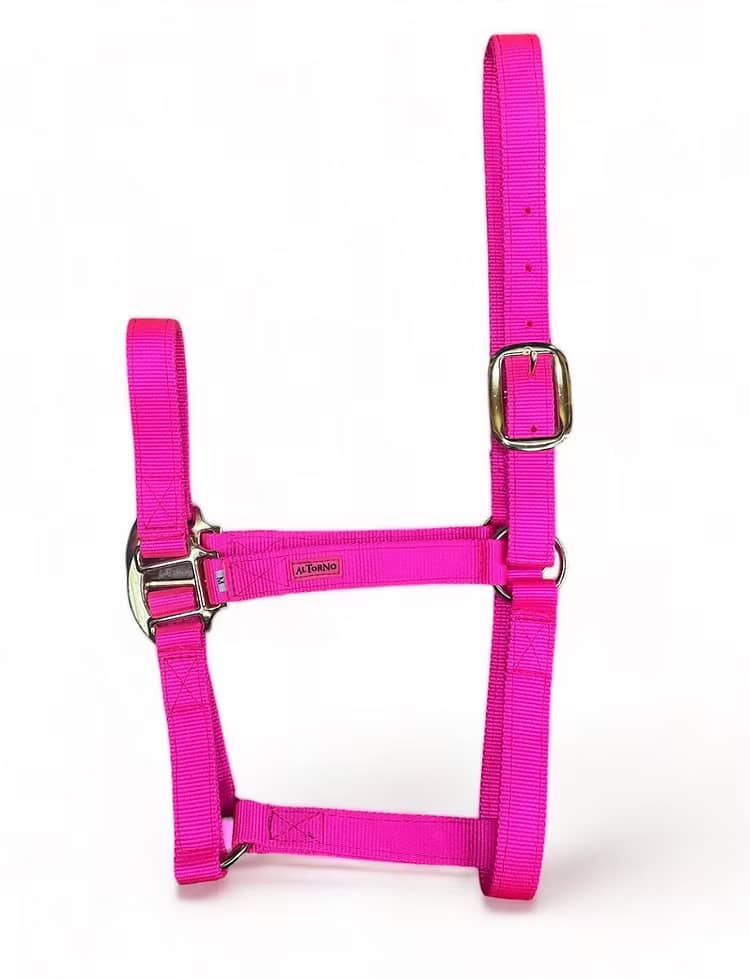 Jaquimón Reata para Potros de 6 a 15 Meses