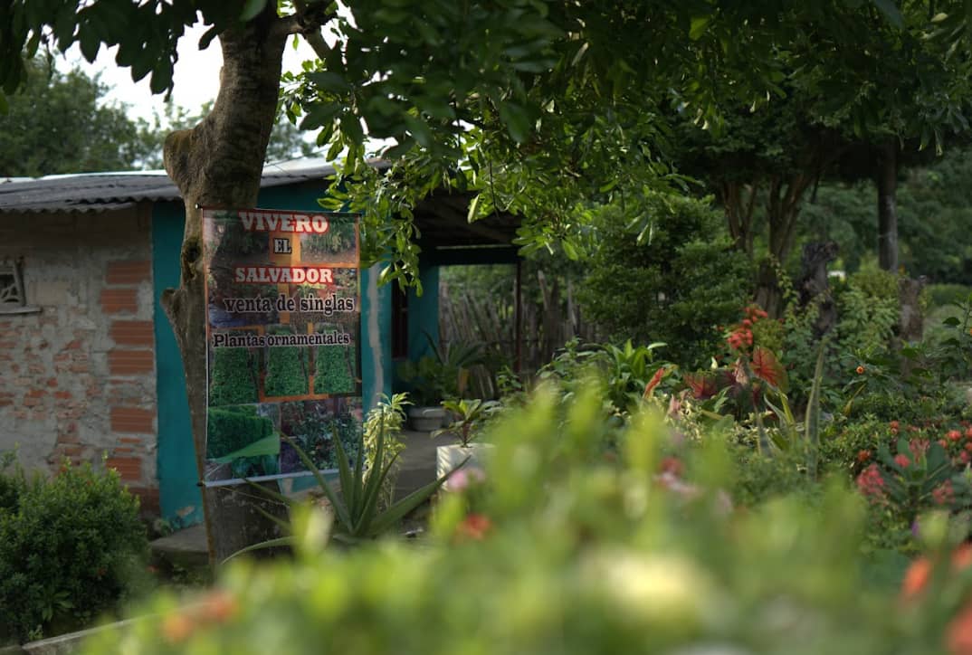 Captura de pantalla 2024-12-20 095746.png