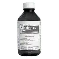 Clincher
