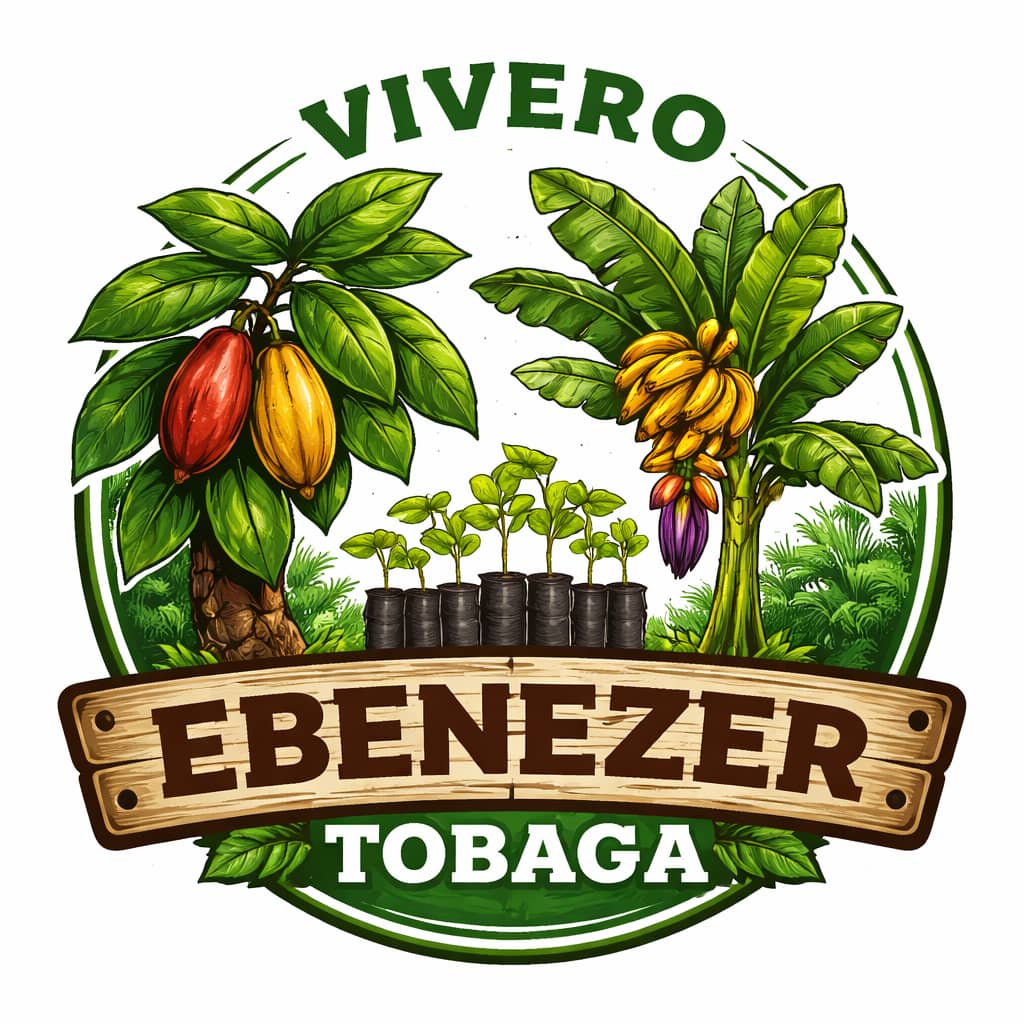 VIVERO EBENEZER TOBAGA