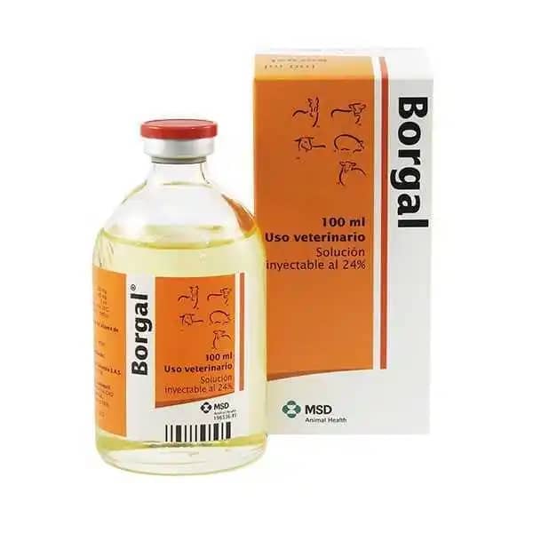 Antibiótico Borgal 24% x 100 ml - MSD