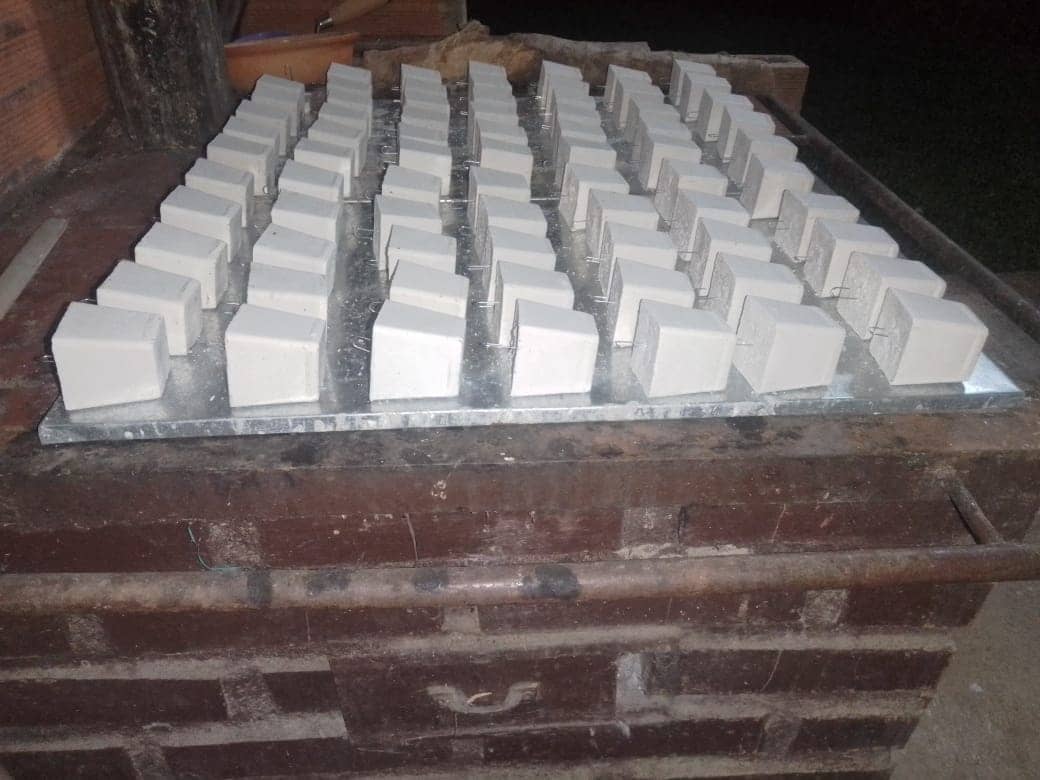 Calcio Mineralizado en Hongo para Psitácidos
