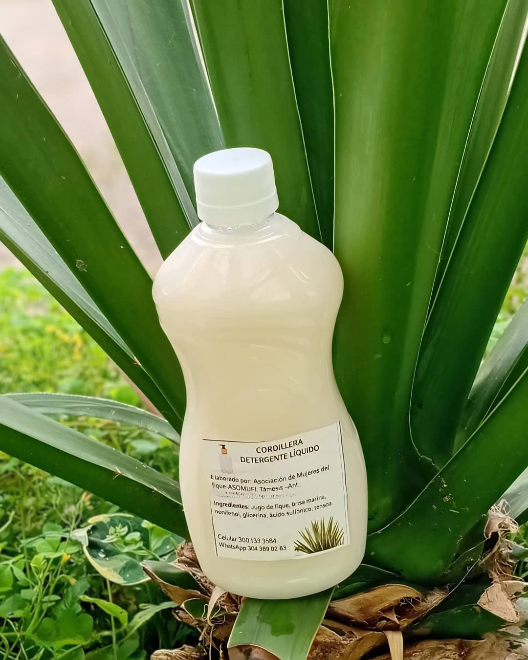 Detergente Líquido de Fique 1 litro | ASOMUFI