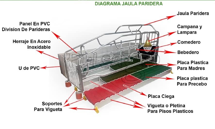 Jaula Paridera - Cerdas