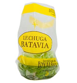 Lechuga Batavia - Royal APP.jpg