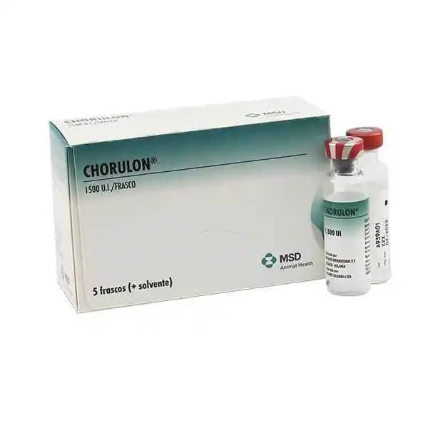 Solución Hormonal Chorulon x 1500UI + DIL x 5 Ml
