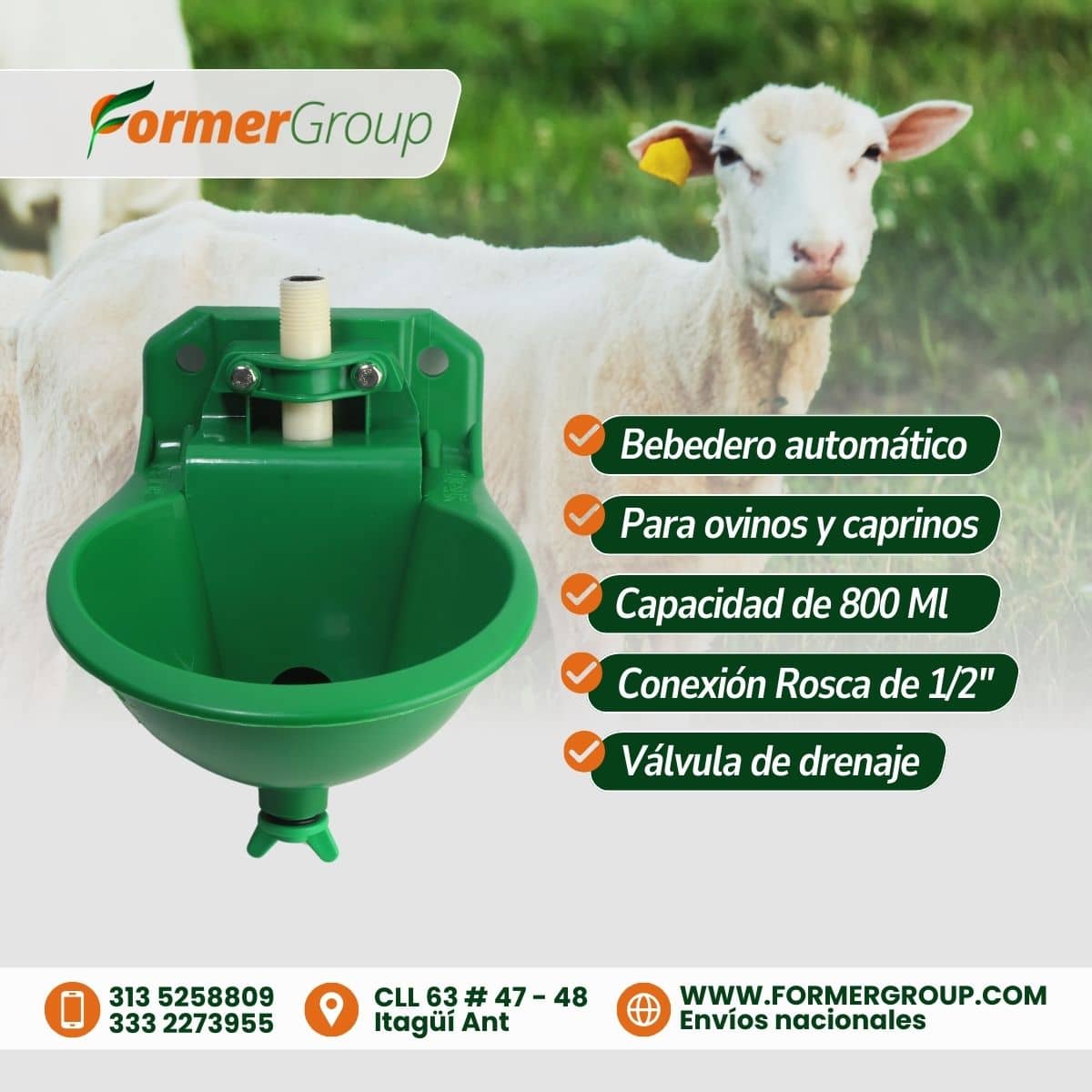 Bebedero Automático para Ovinos y Caprinos