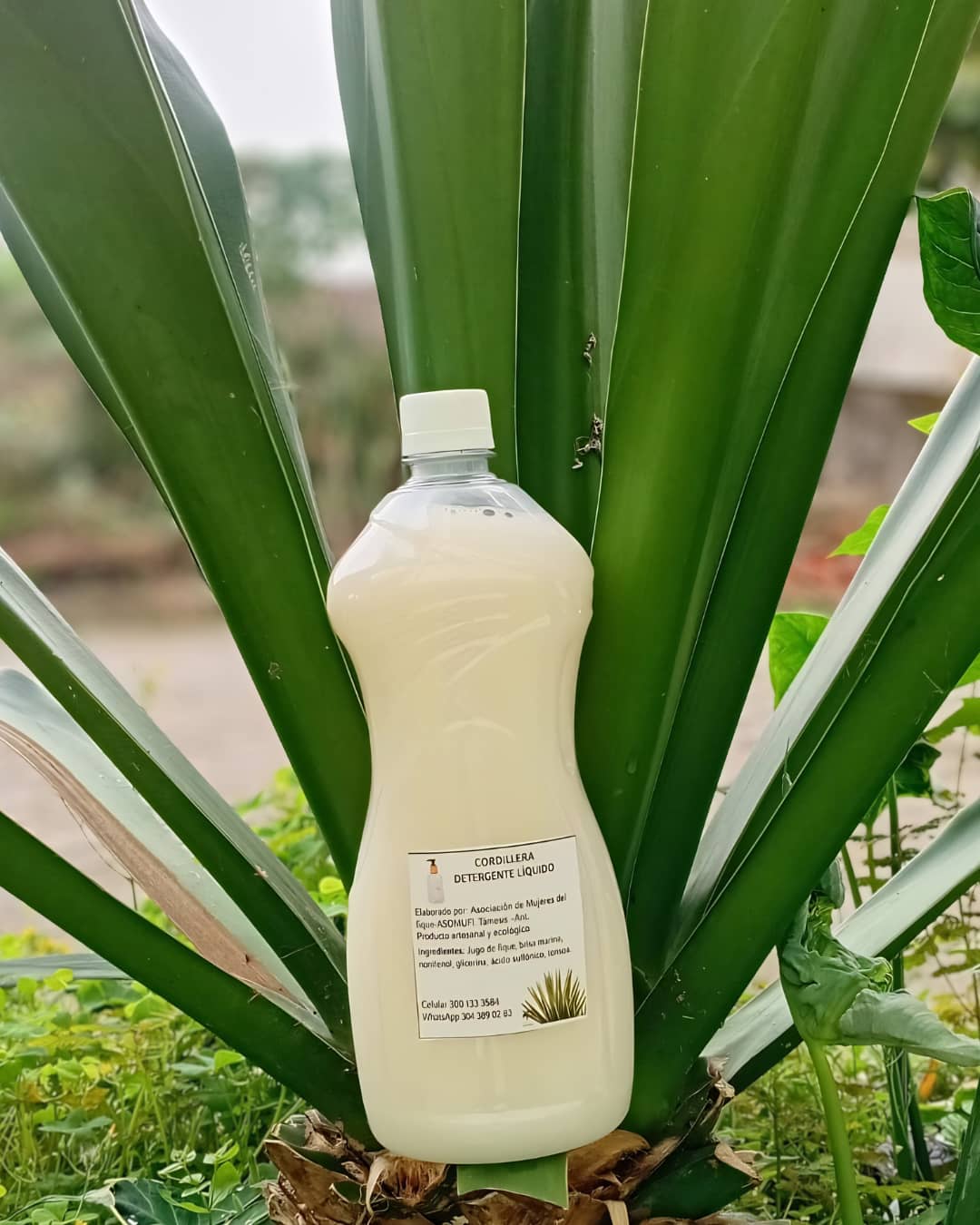 Detergente líquido de fique 500 ml |ASOMFI