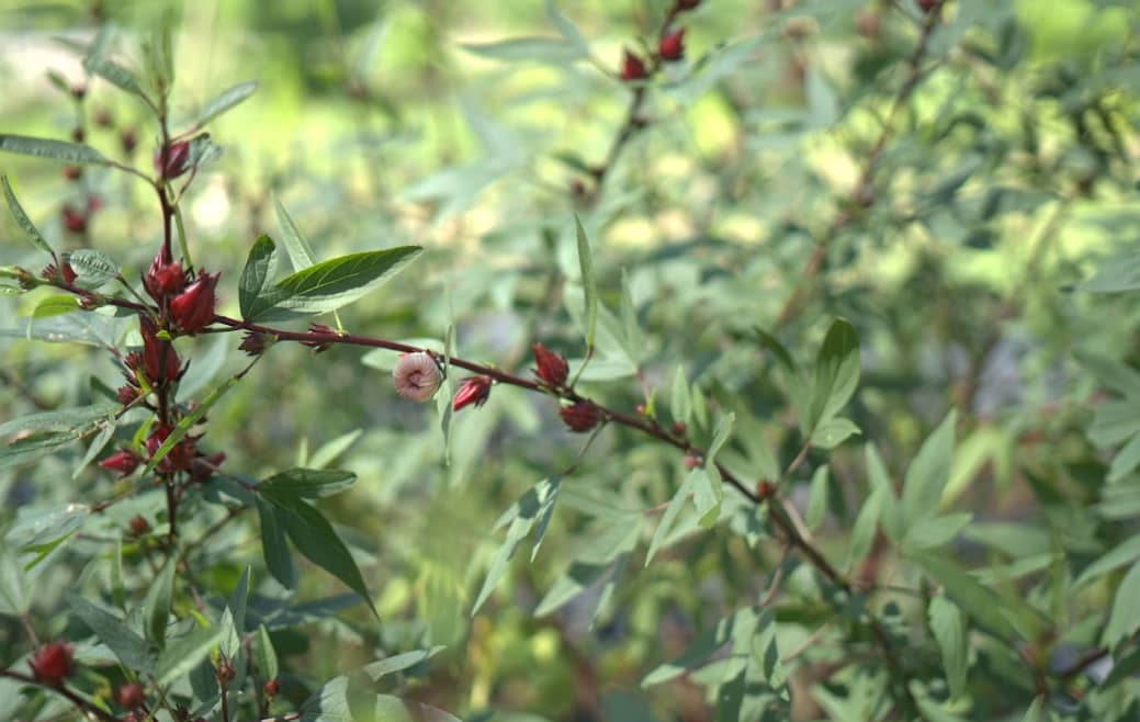 Captura de pantalla 2024-12-10 145049.png