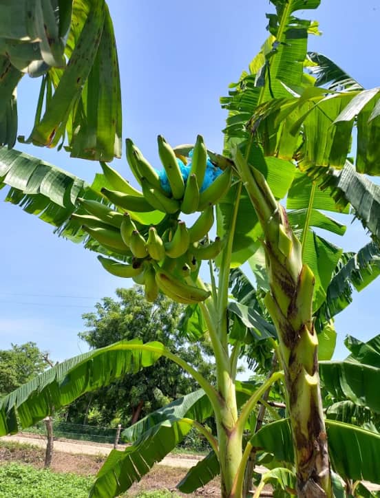 Captura de pantalla 2025-02-19 113843.png