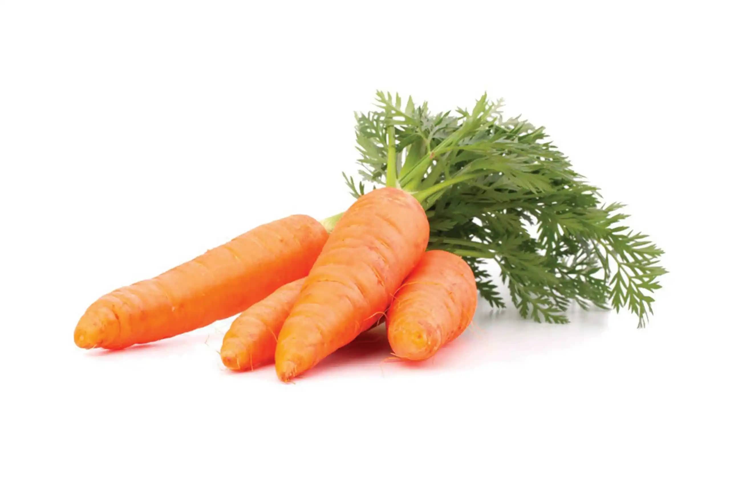 Semilla Zanahoria sobre x 5gr