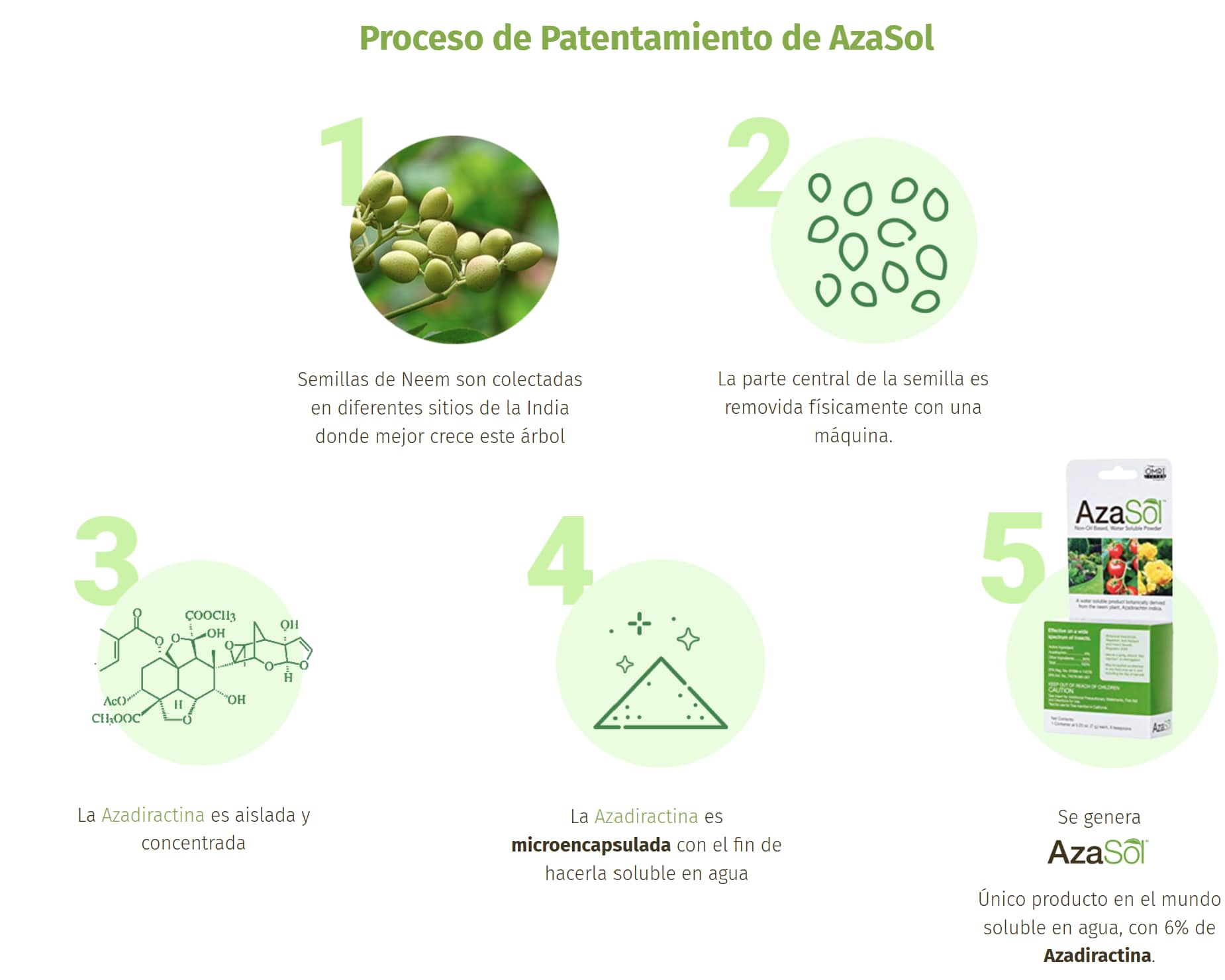 Azasol de AzaAgro |Insecticida  Orgánico Extracto de Neem