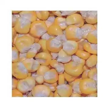 Semilla De Maíz Amarillo Harinoso Porva (Clima Frio) X 1 Kg