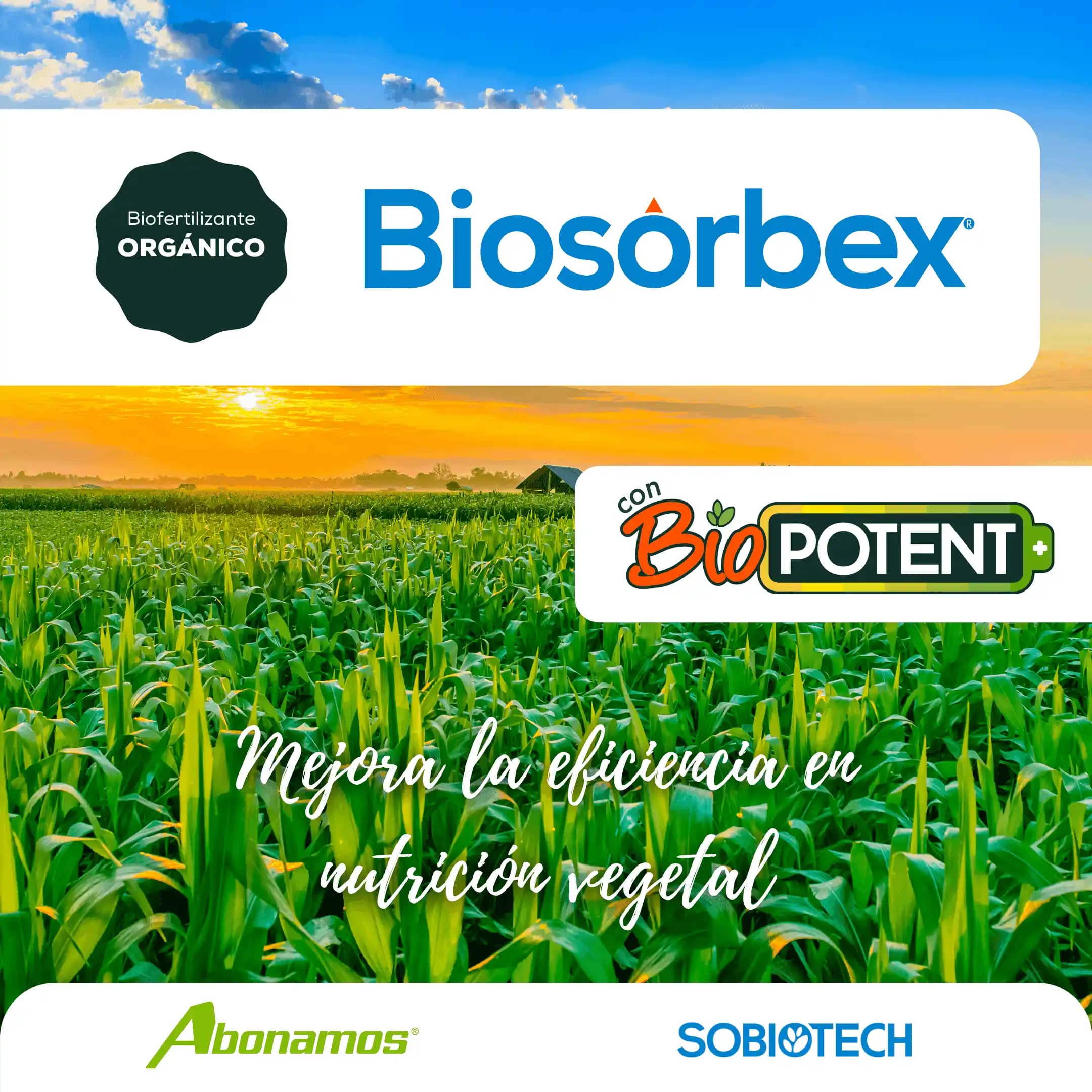 Inoculante Biológico Biosorbex x 1 litro